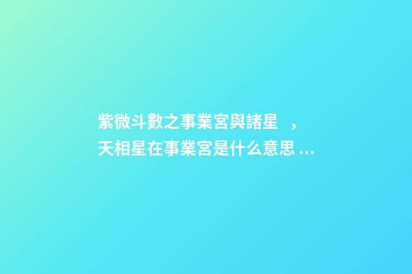 紫微斗數之事業宮與諸星，天相星在事業宮是什么意思？